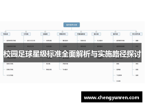 校园足球星级标准全面解析与实施路径探讨